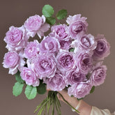 YinYin Qing Rose